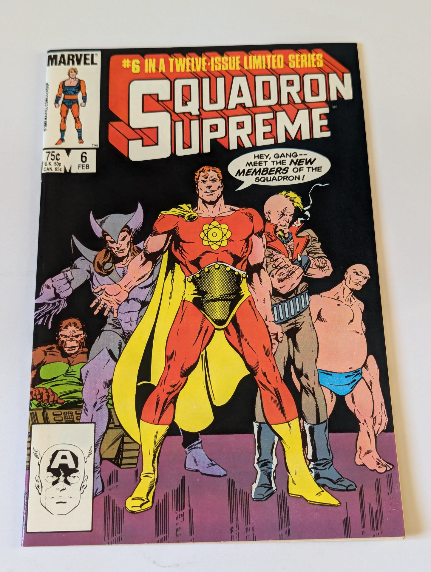 Squadron Supreme #6