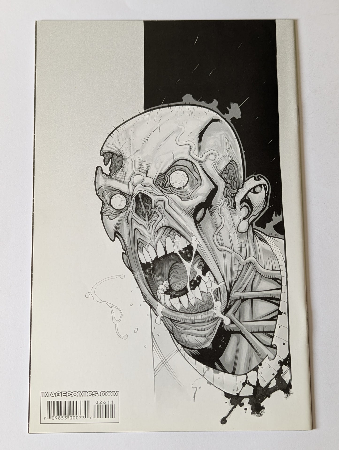 The Walking Dead #26