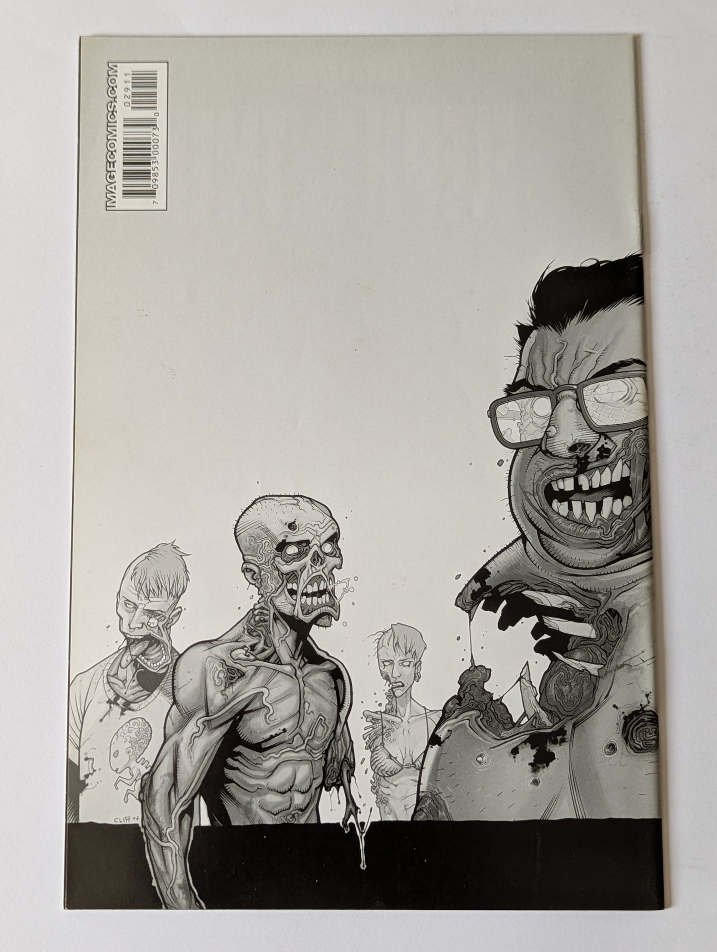 The Walking Dead #29