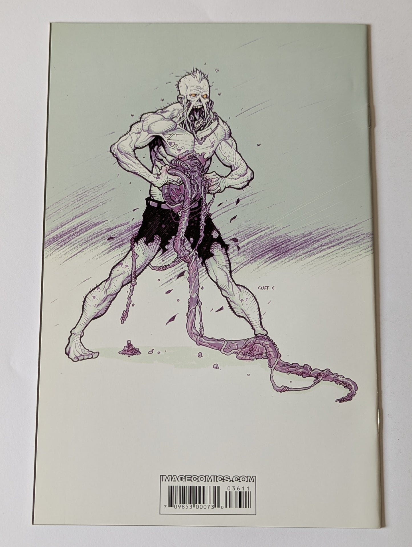 The Walking Dead #36