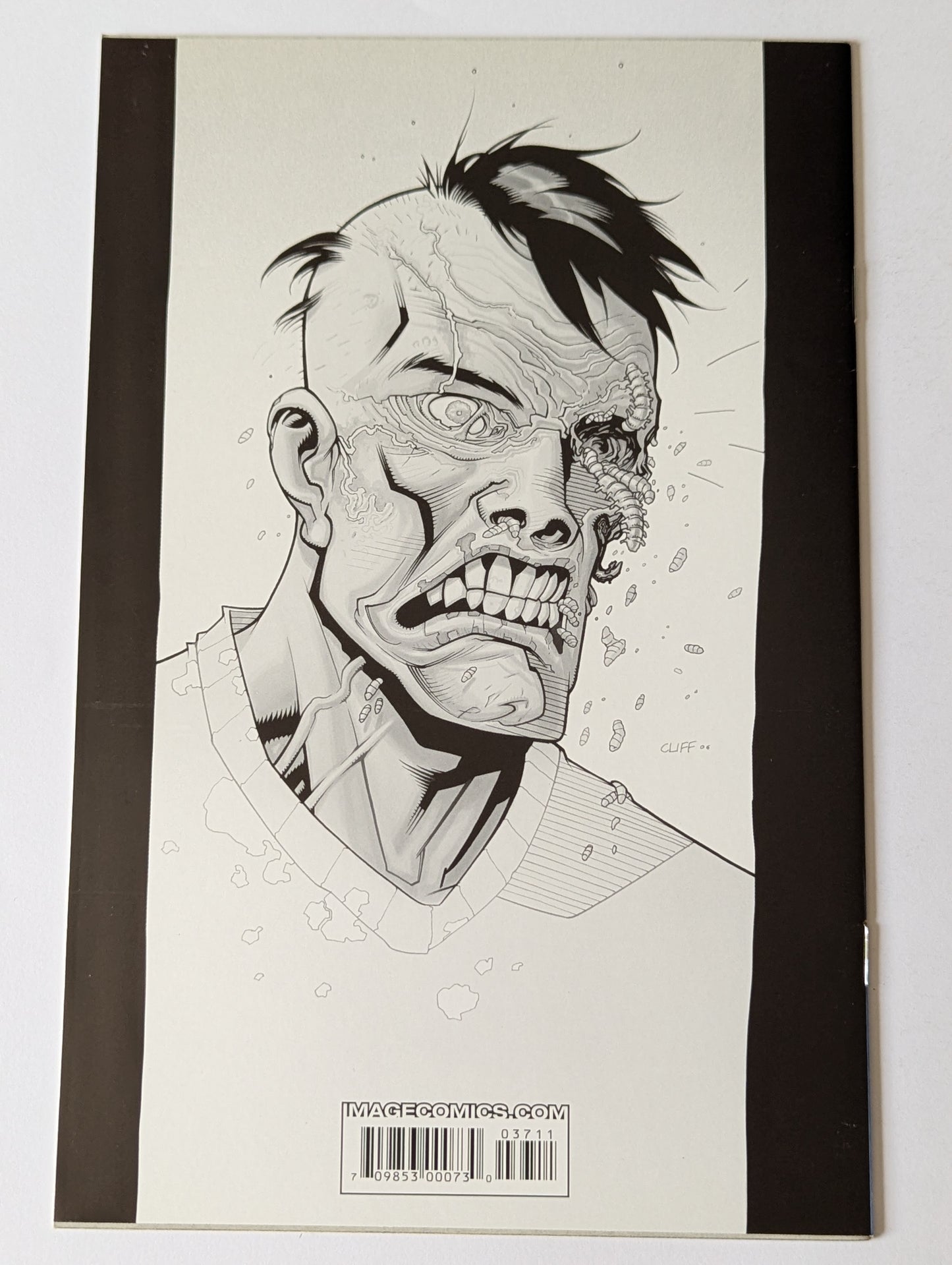 The Walking Dead #37