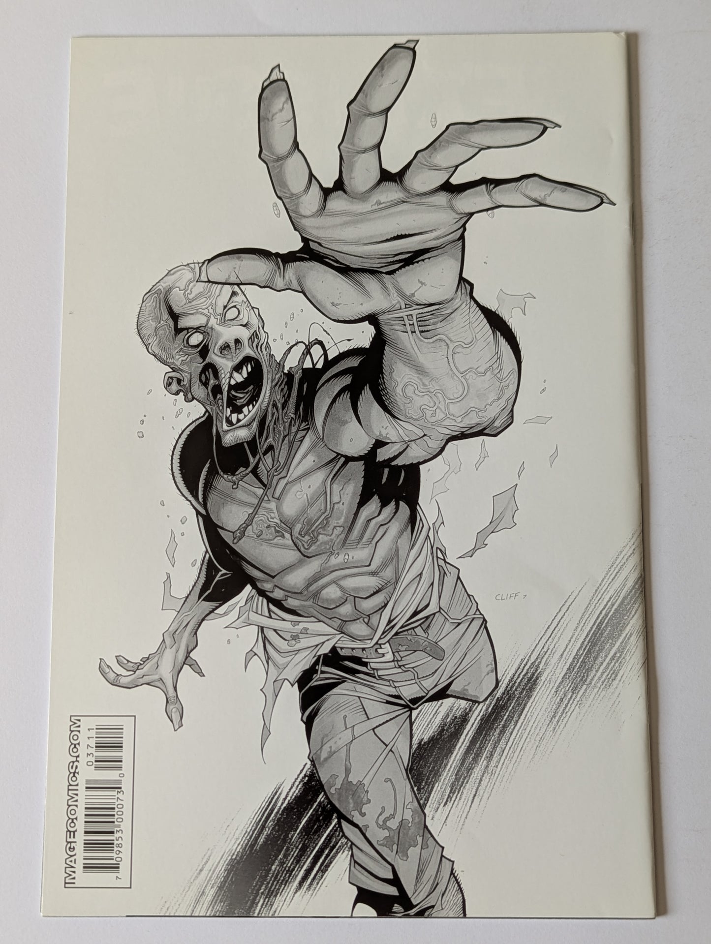 The Walking Dead #38