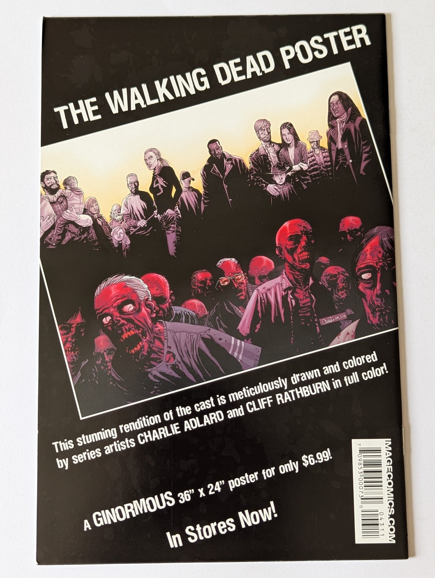 The Walking Dead #43