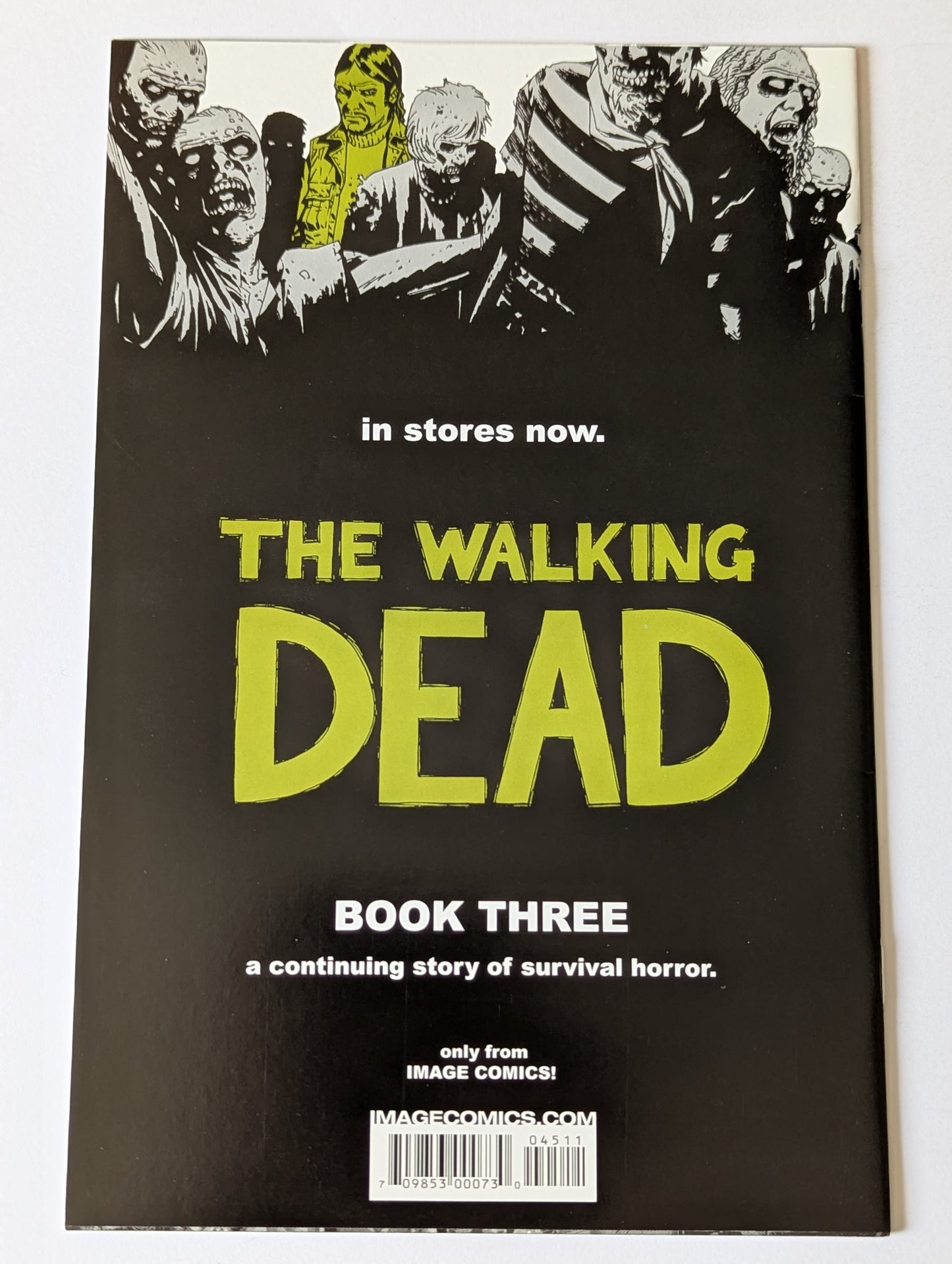 The Walking Dead #45