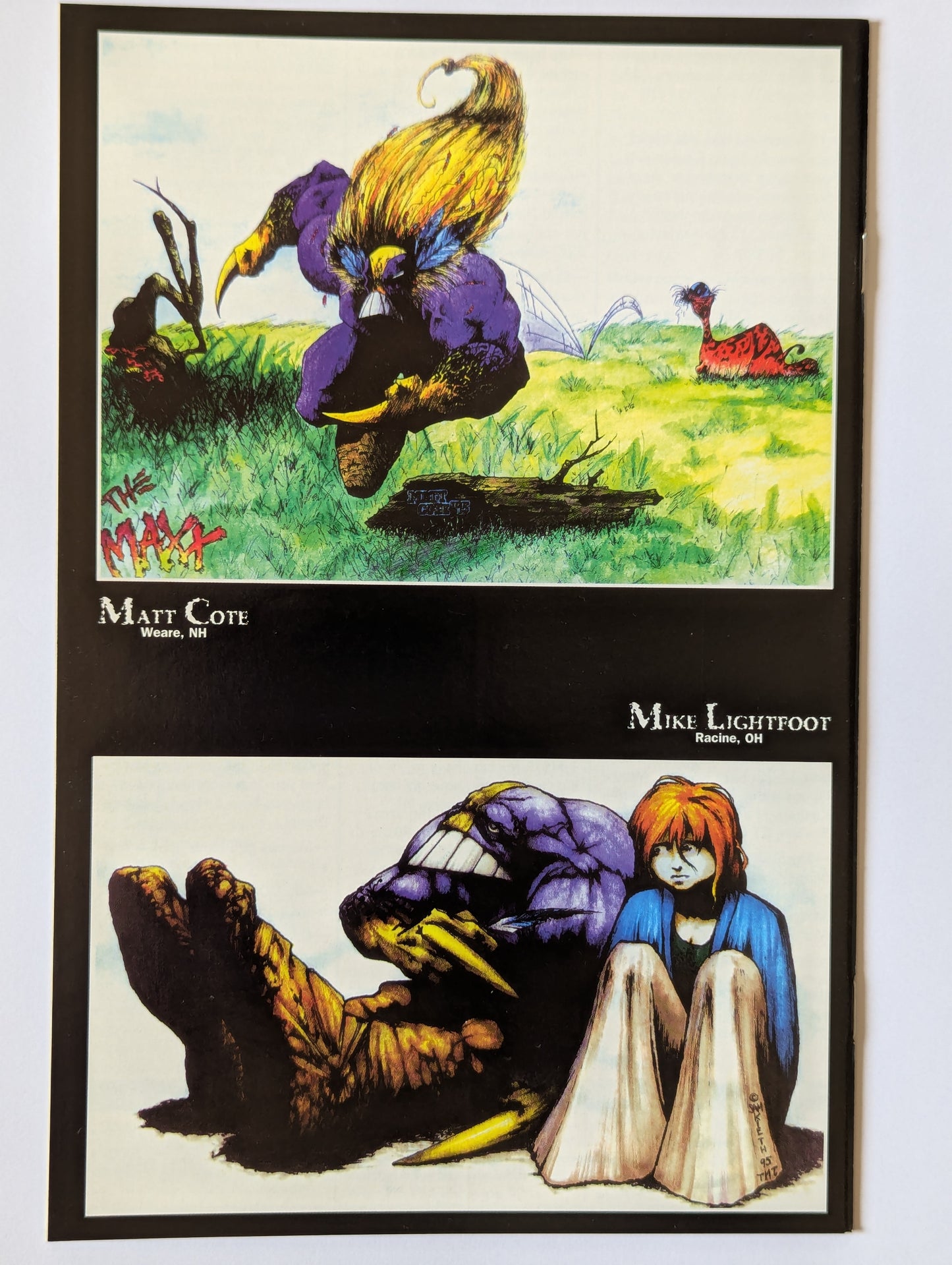 The Maxx #20