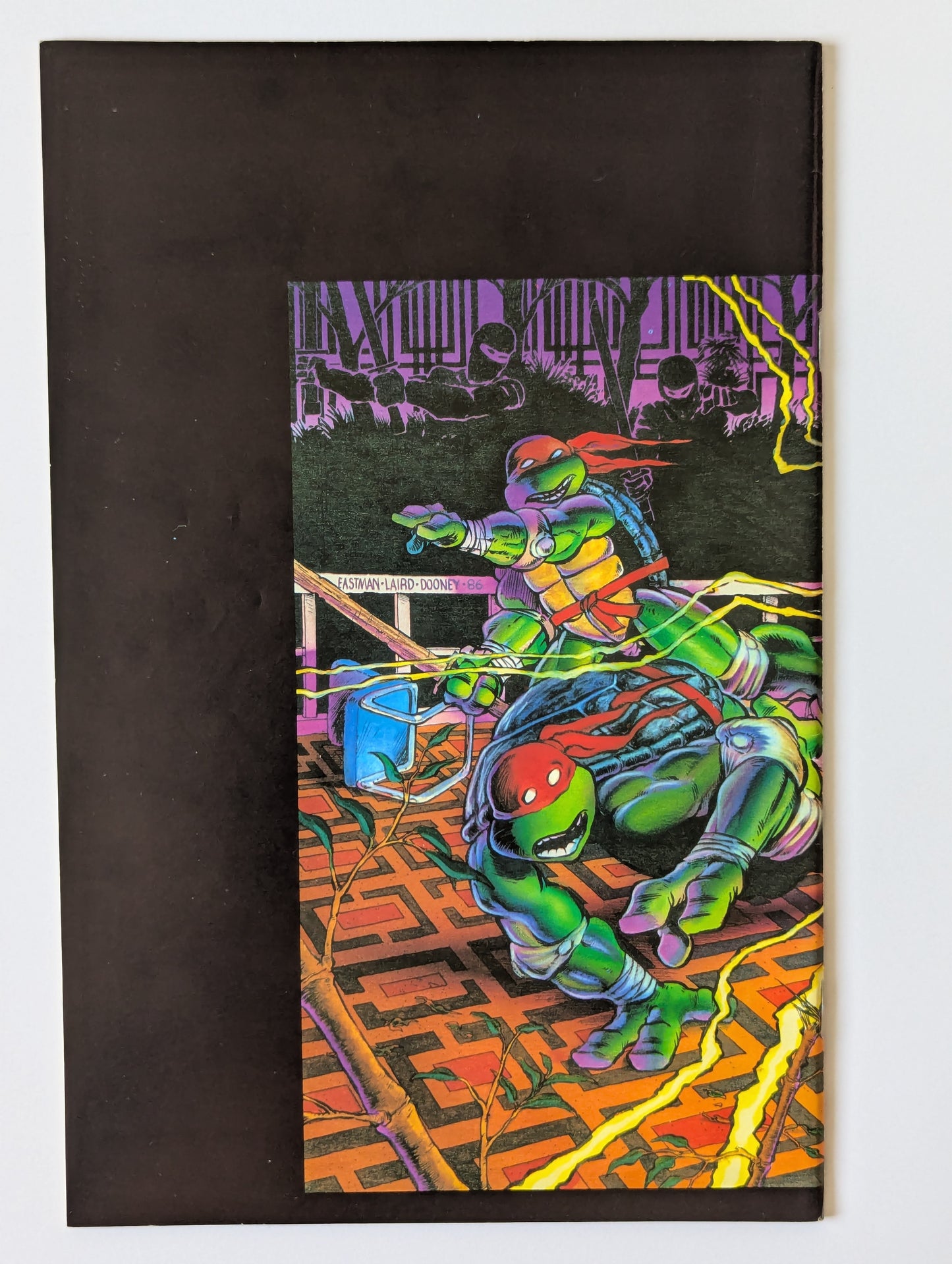 Teenage Mutant Ninja Turtles #9 (1984 Series)