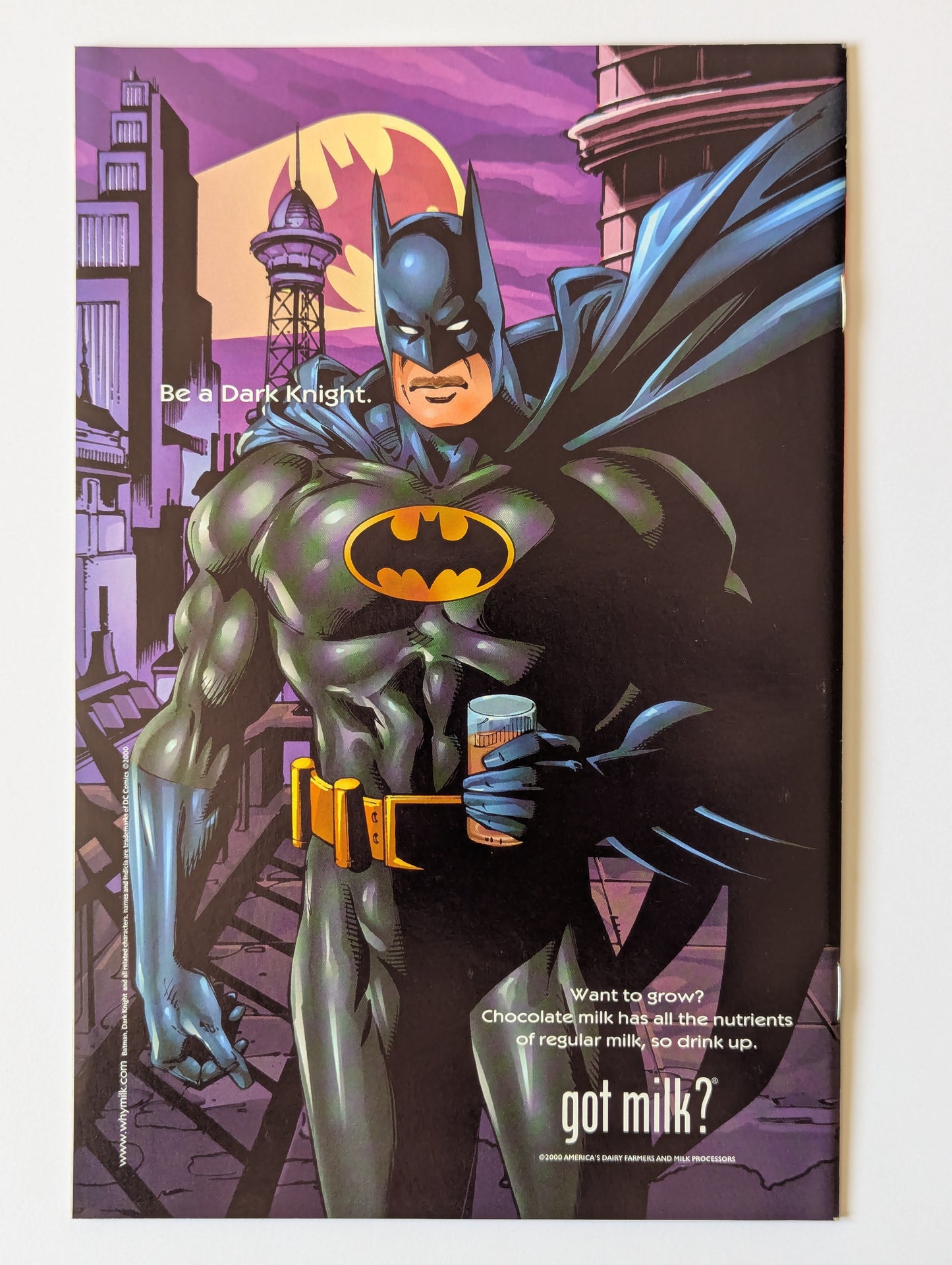 Batman Chronicles #21