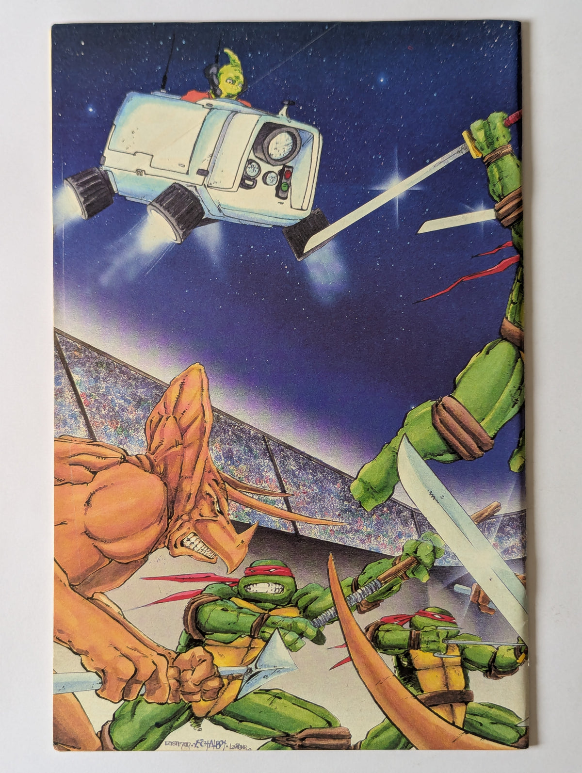 Teenage Mutants Ninja Turtles #6 (1984 Series) - Second Print
