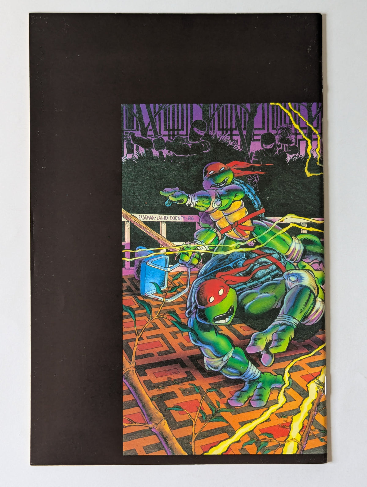 Teenage Mutants Ninja Turtles #9 (1984 Series)