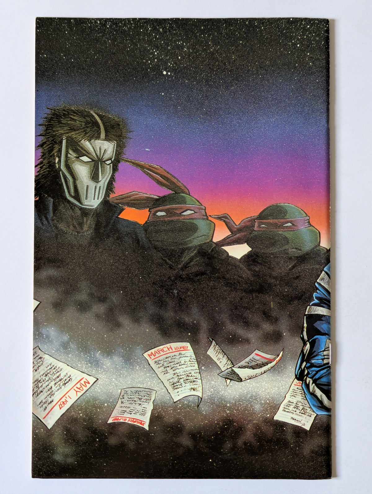 Teenage Mutants Ninja Turtles #11 (1984 Series)