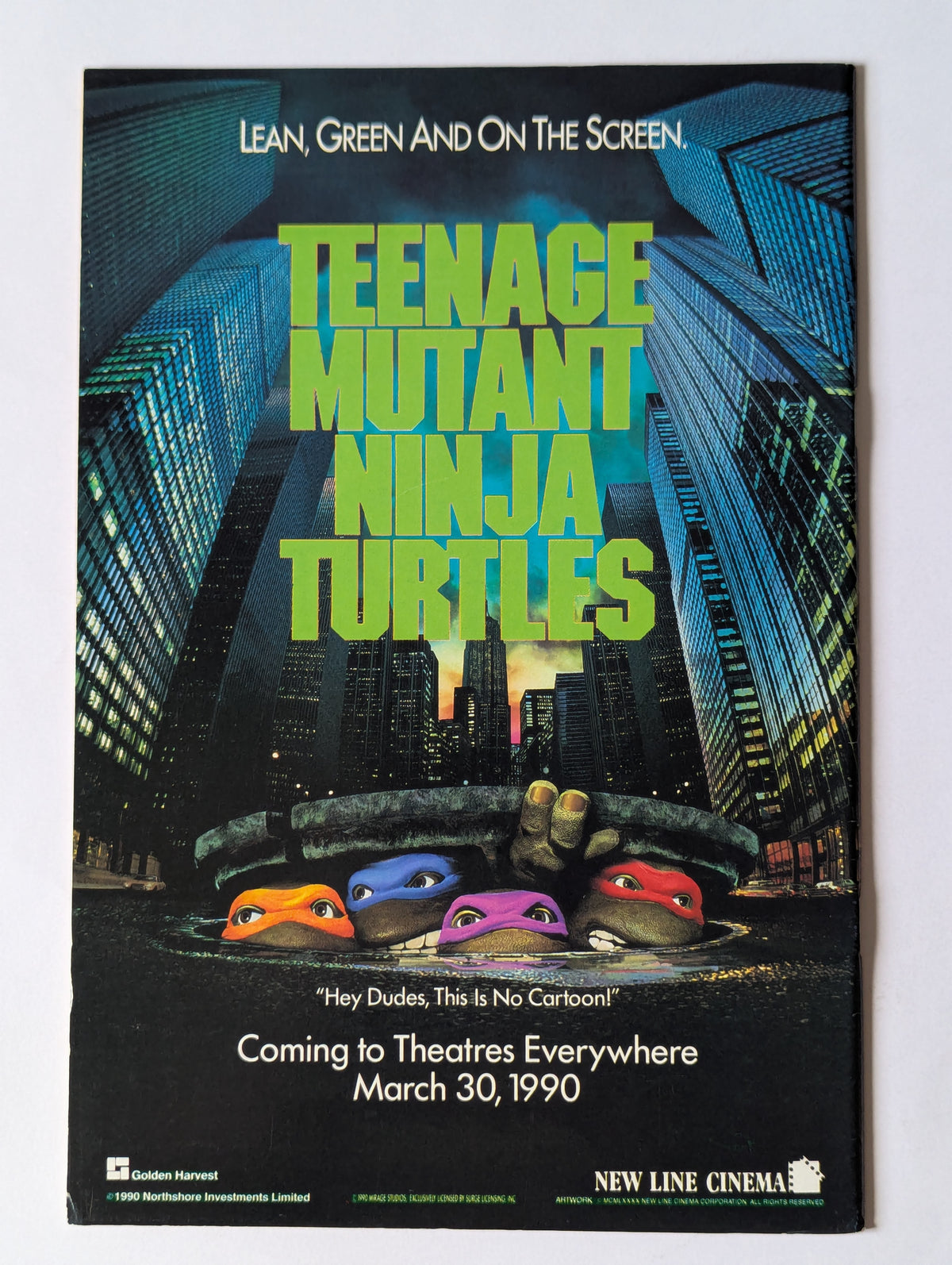 Teenage Mutants Ninja Turtles #28 (1984 Series)