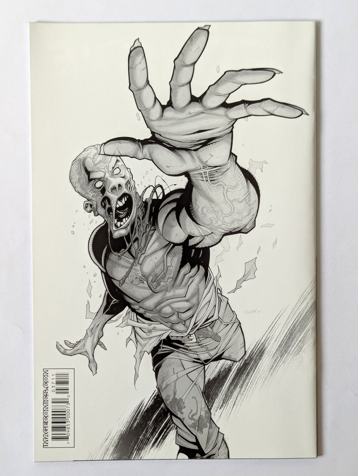 The Walking Dead #38 (2003 Series)