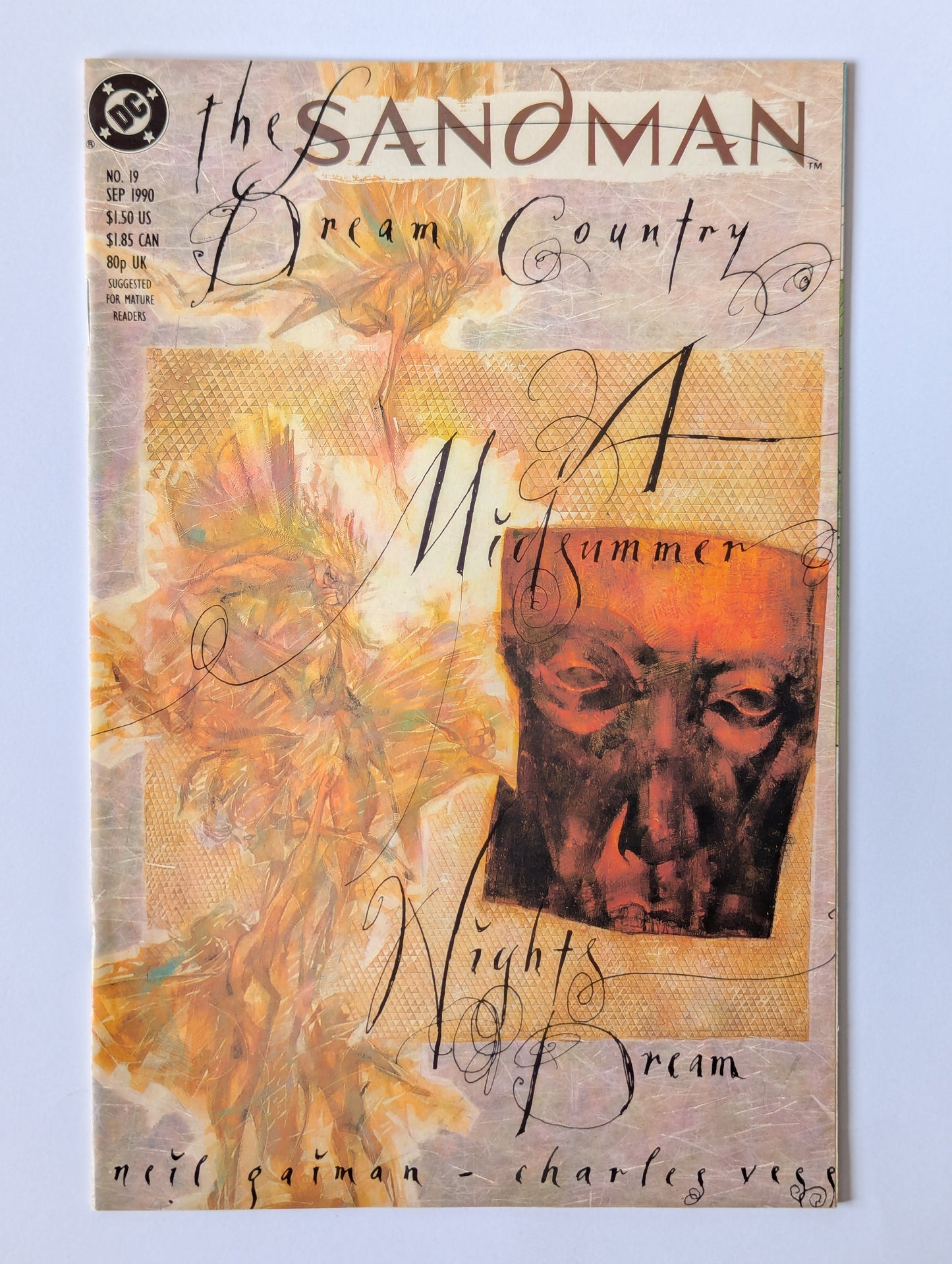 The Sandman #19 DC Vertigo Comic Book