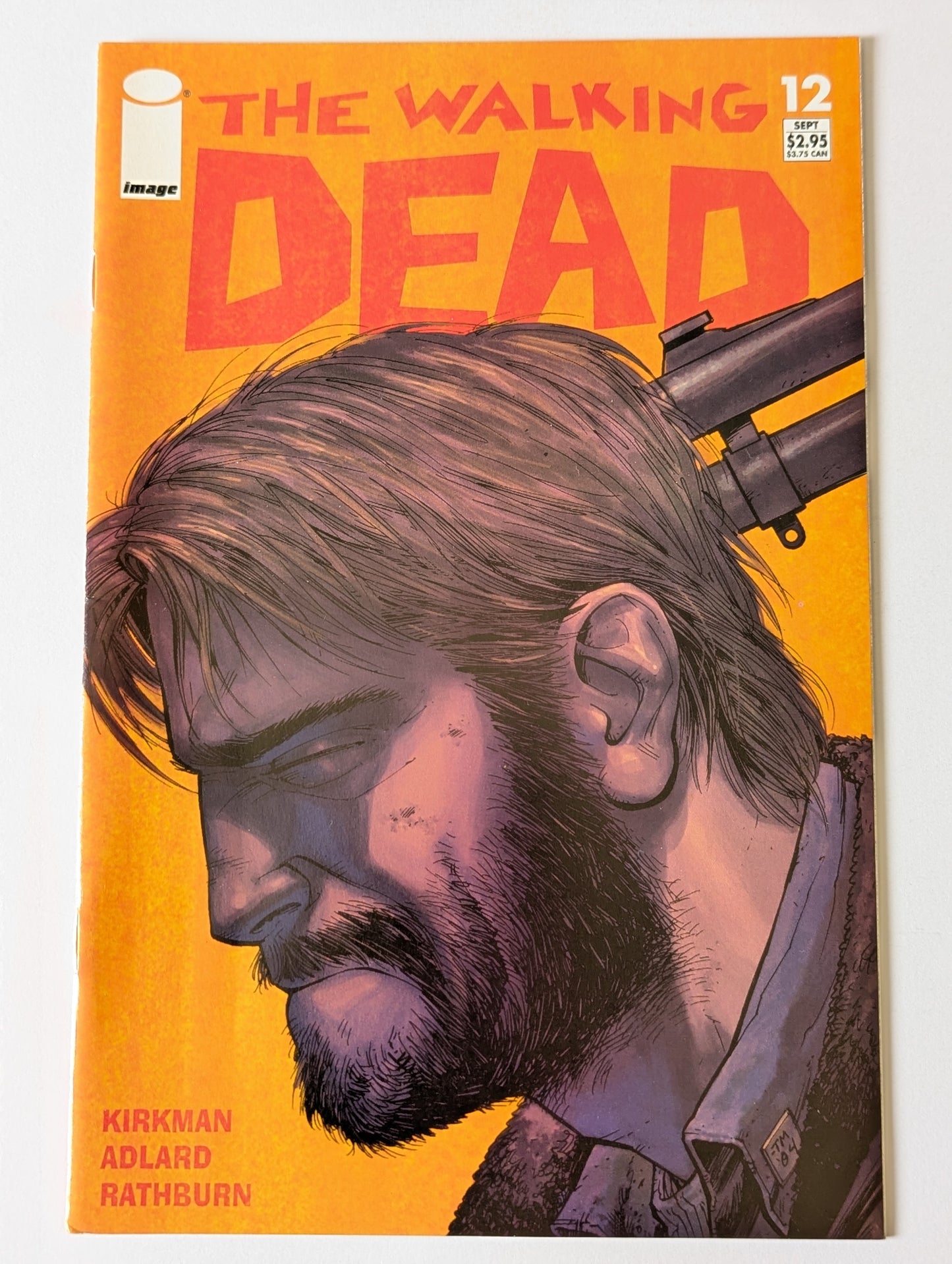 The Walking Dead #12 Image Comic Book