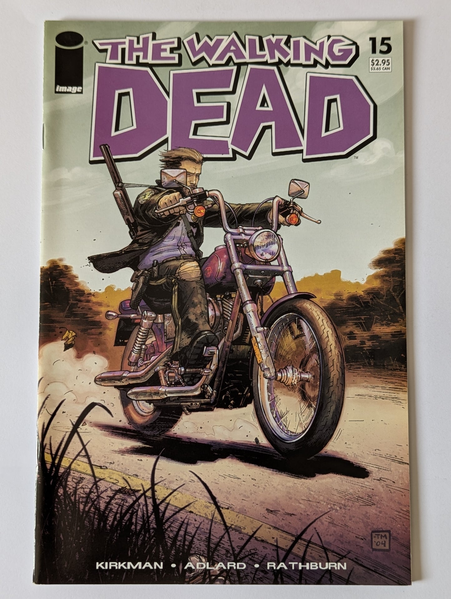 The Walking Dead #15 Image Comic Book