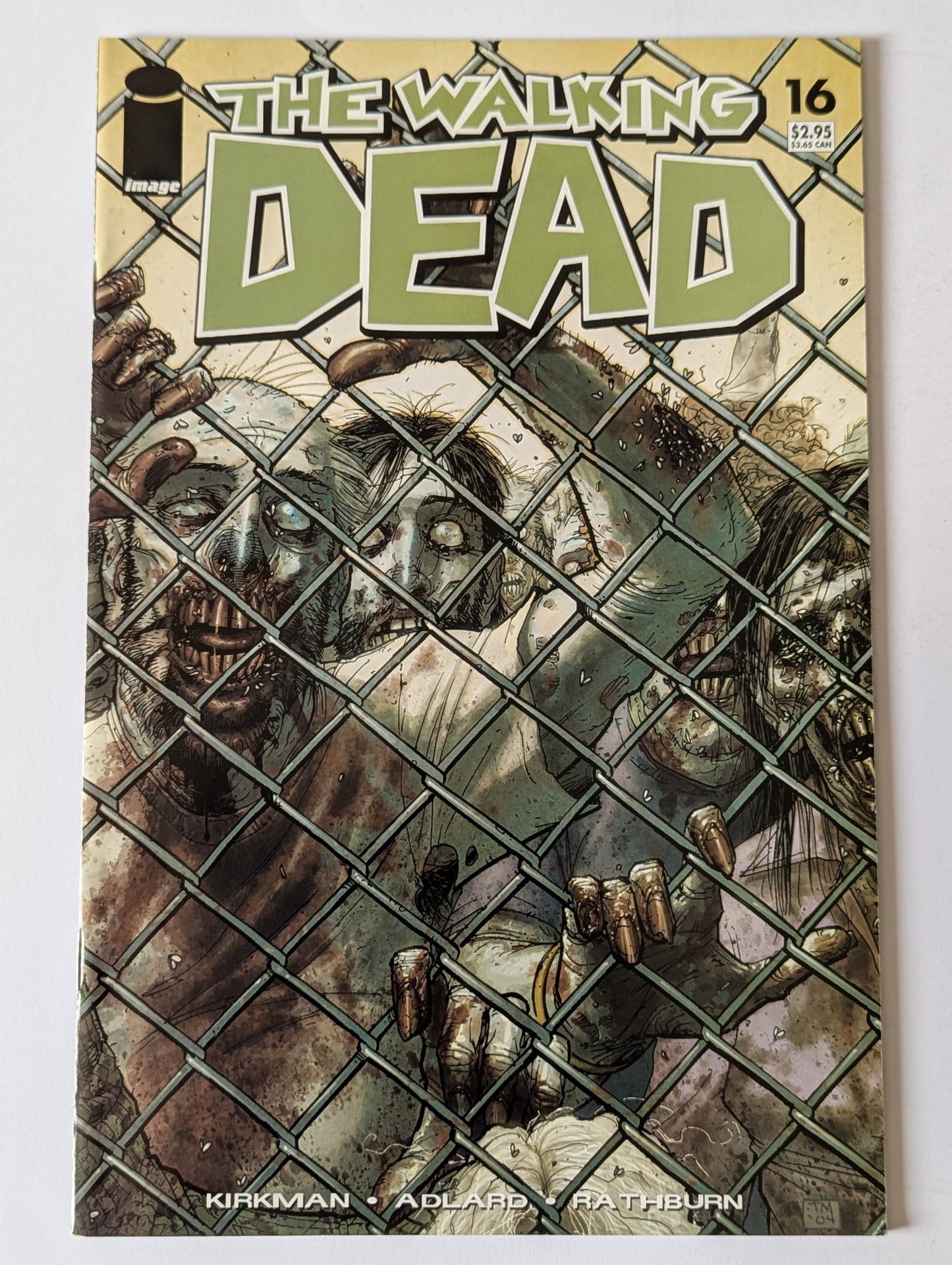 The Walking Dead #16 Image Comic Book