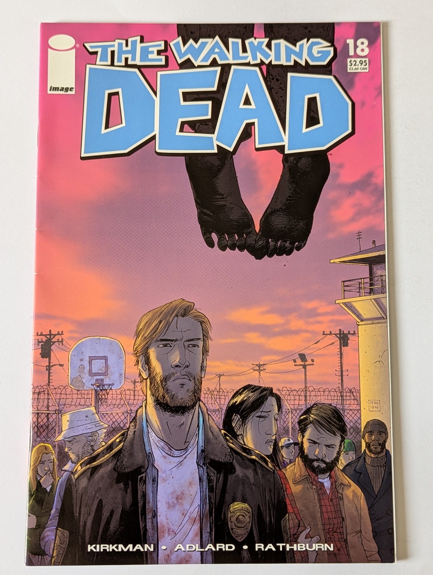 The Walking Dead #18 Image Comic Book