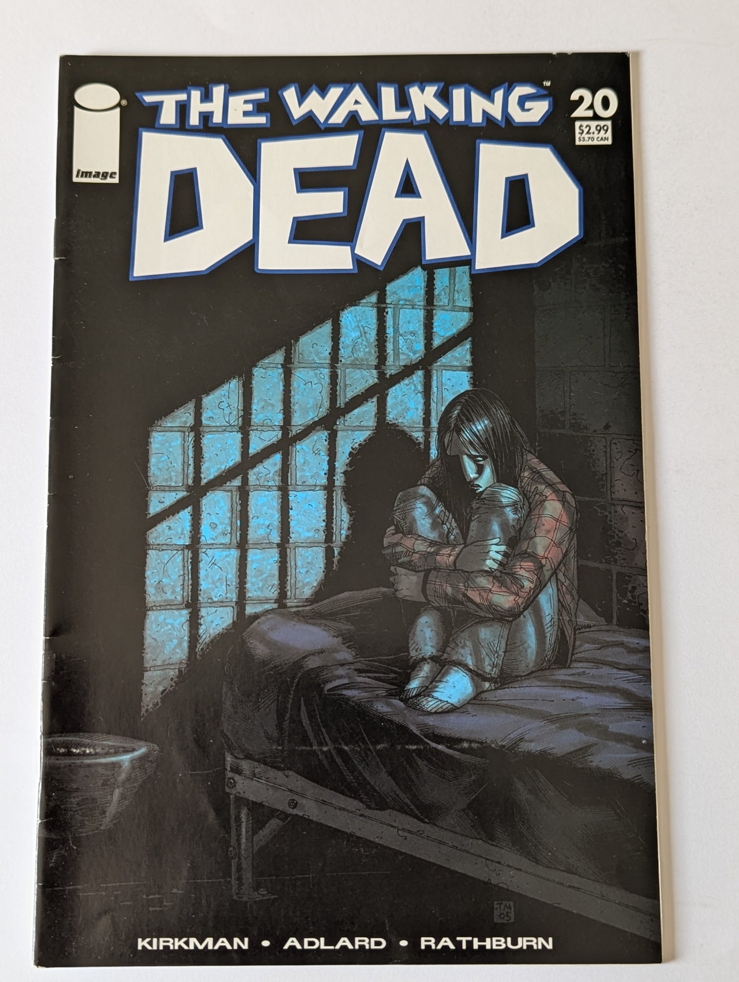The Walking Dead #20 Image Comic Book