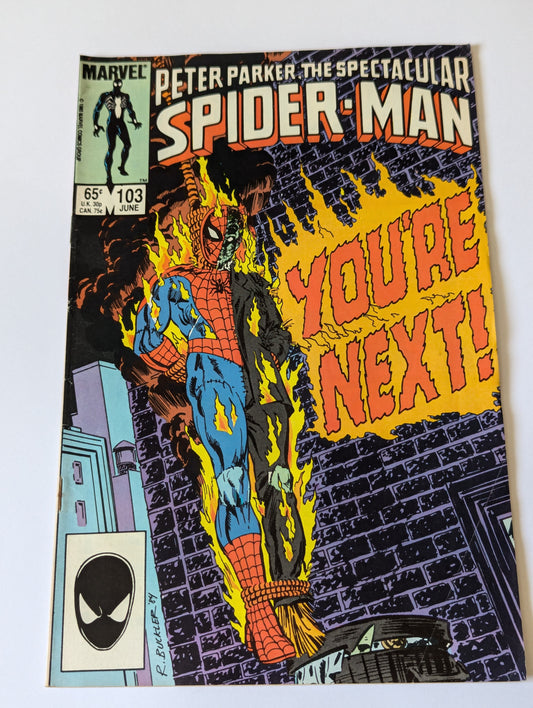 Spectacular Spider-Man #103