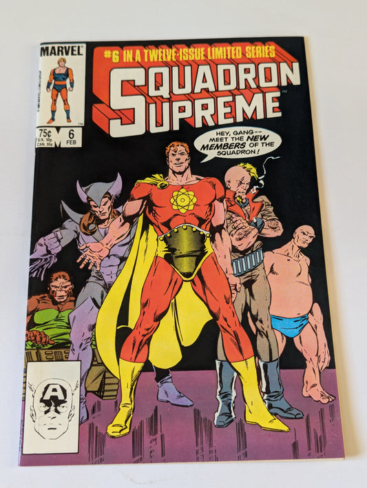 Squadron Supreme #6