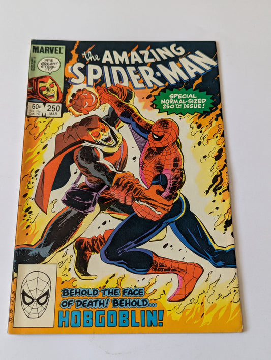 Amazing Spider-Man #250 Marvel Comic Book