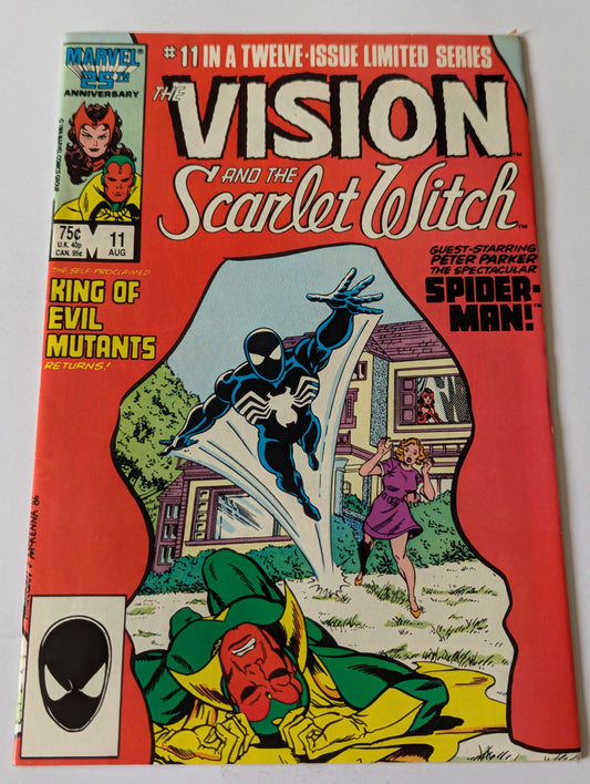 Vision and the Scarlet Witch #11
