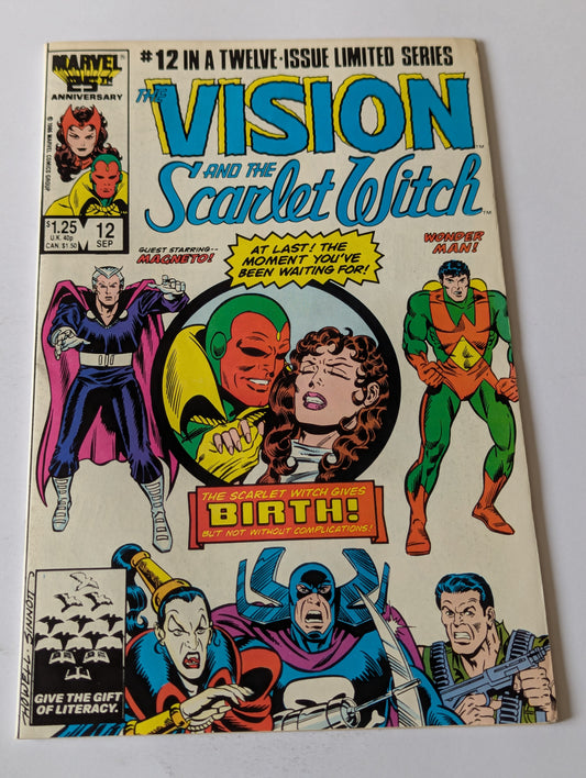 Vision and the Scarlet Witch #12