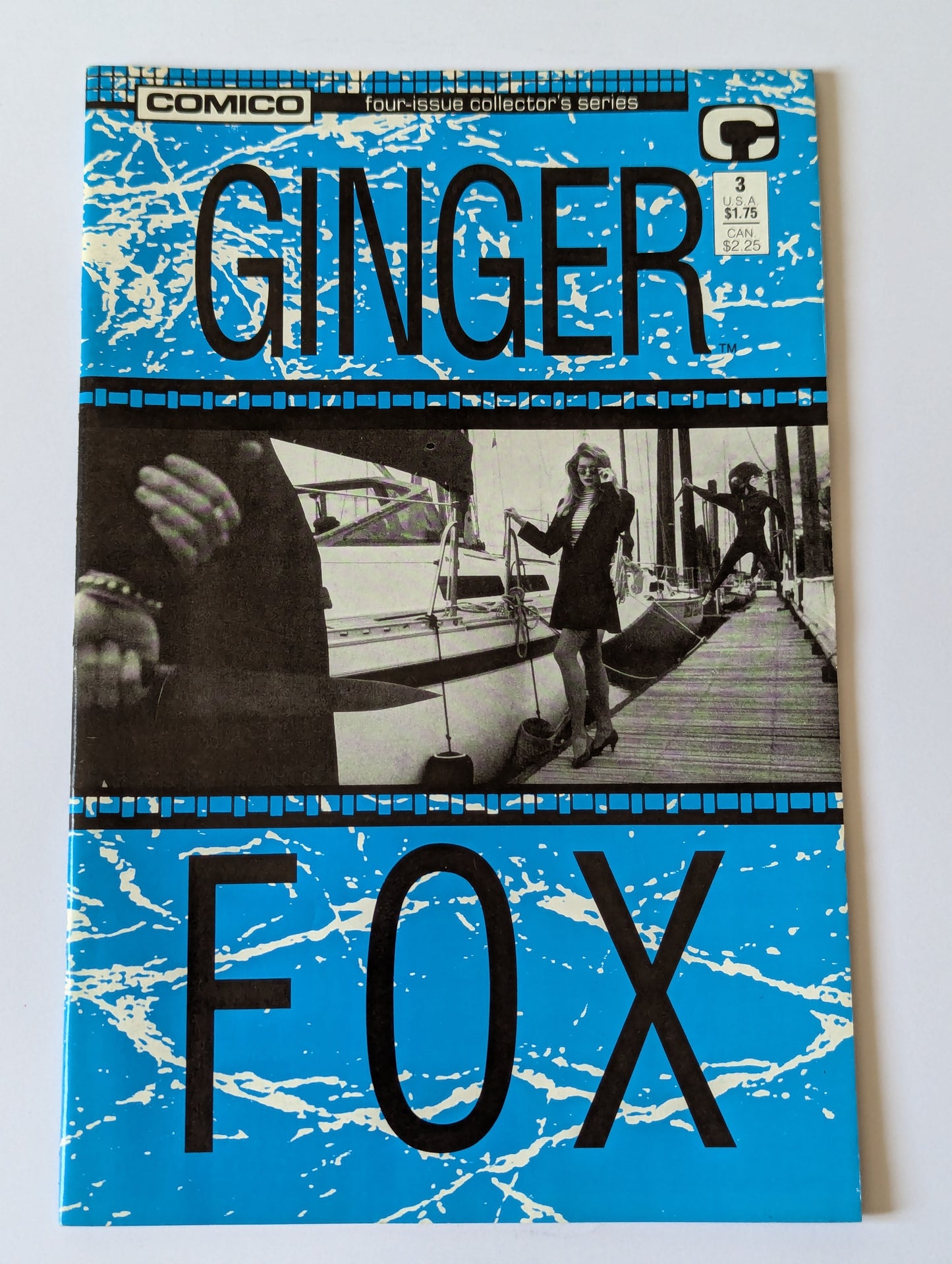 Ginger Fox #3