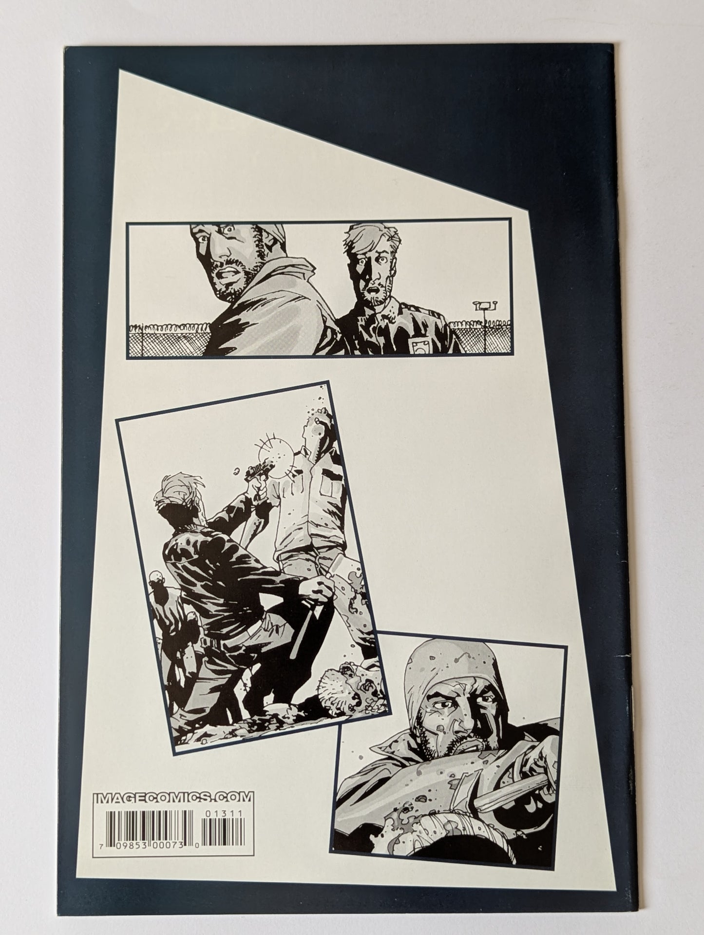 The Walking Dead #13
