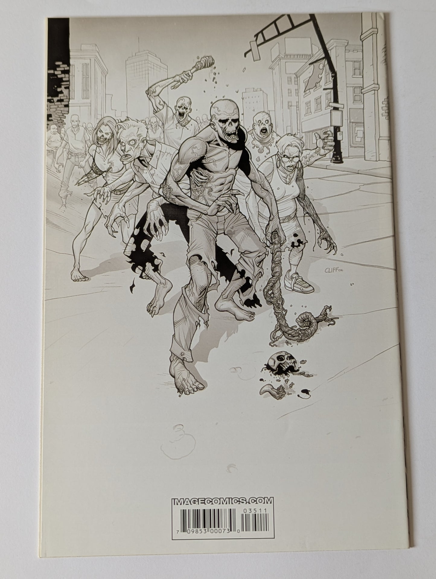 The Walking Dead #35