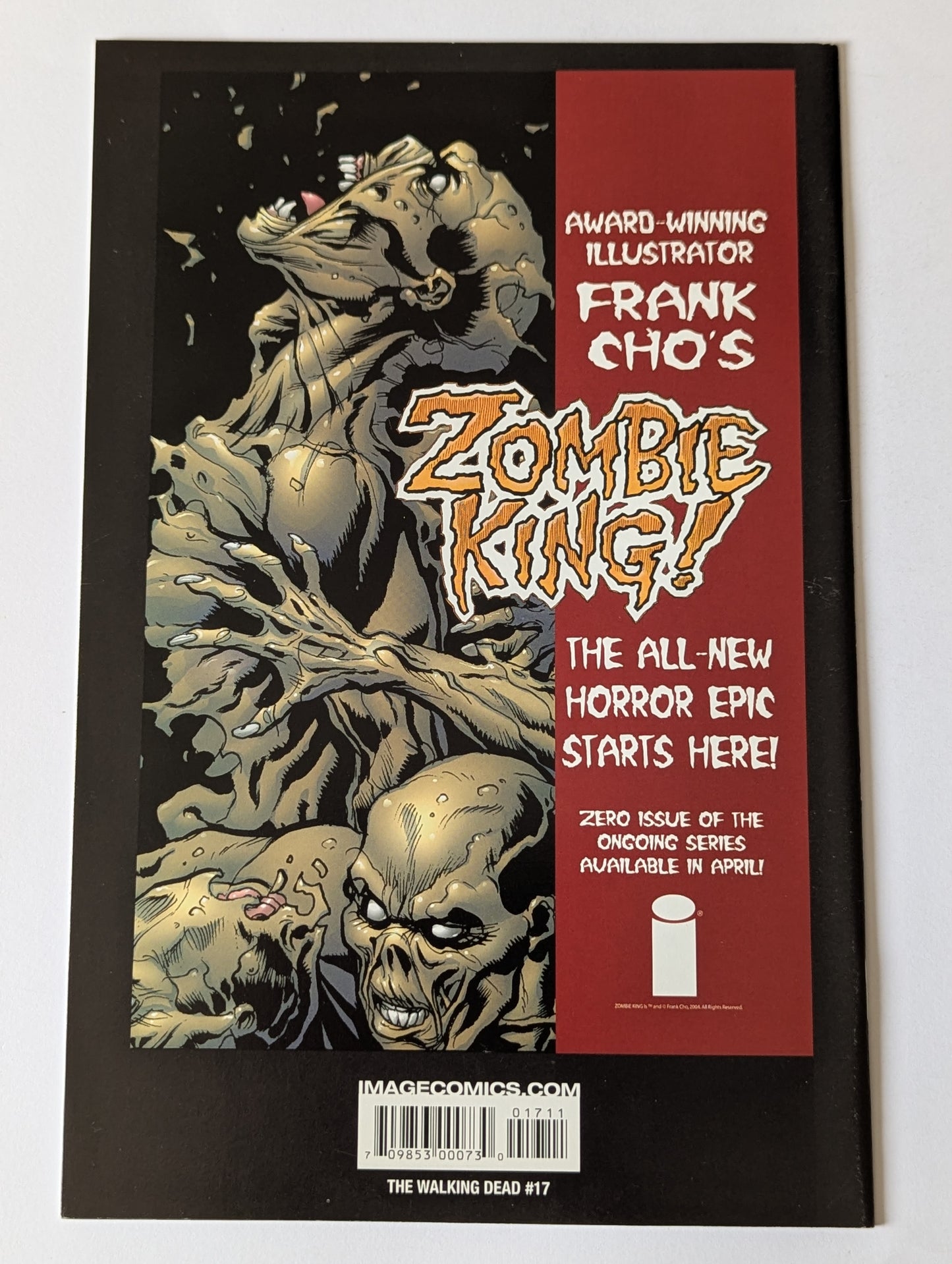 The Walking Dead #17