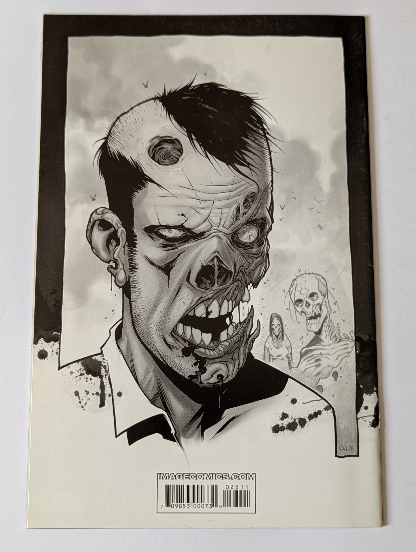 The Walking Dead #25