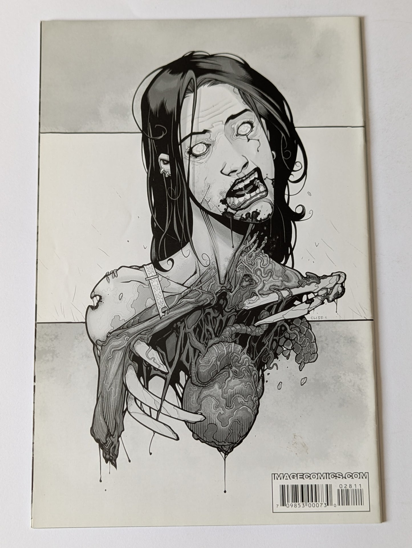 The Walking Dead #28