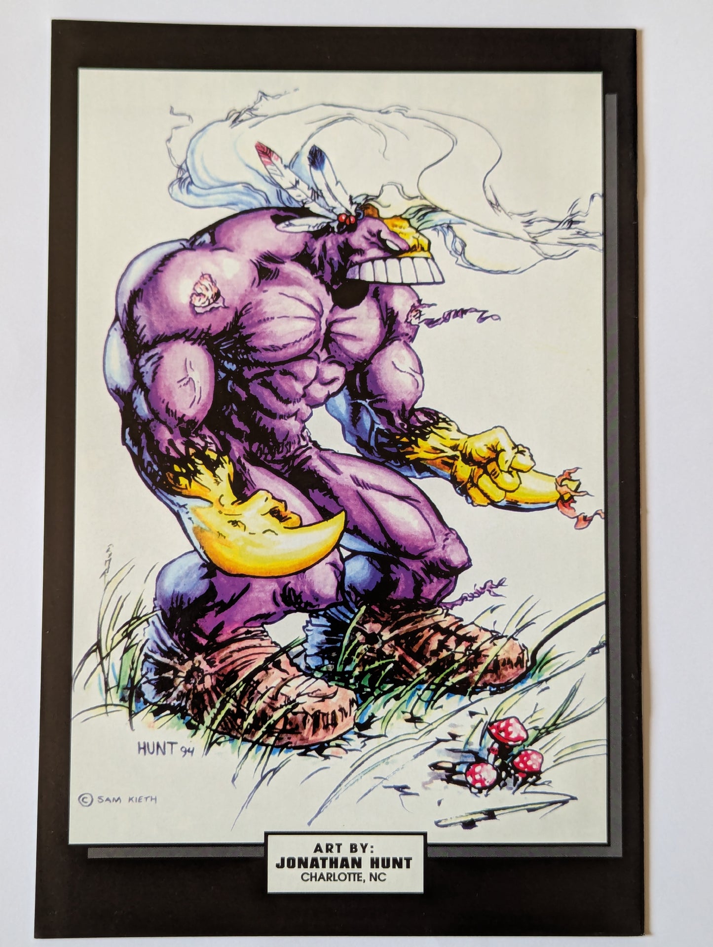 The Maxx #11