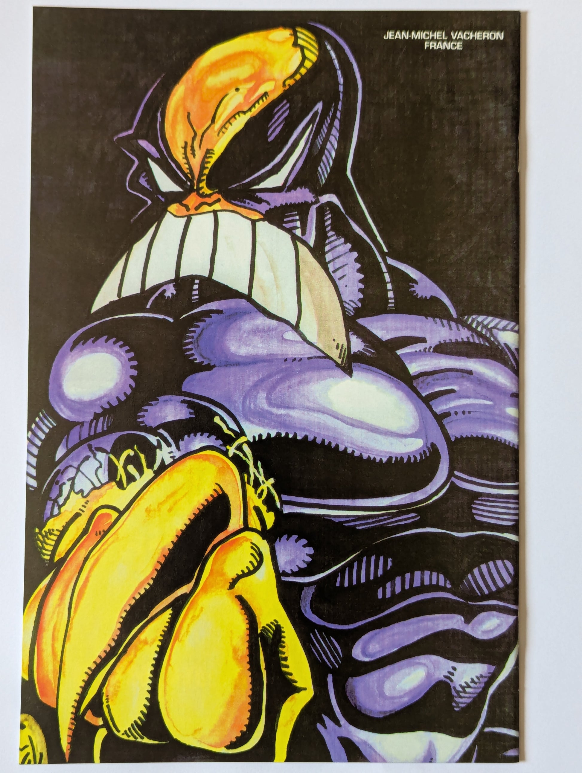 The Maxx #13 Image Comic Book back cover
