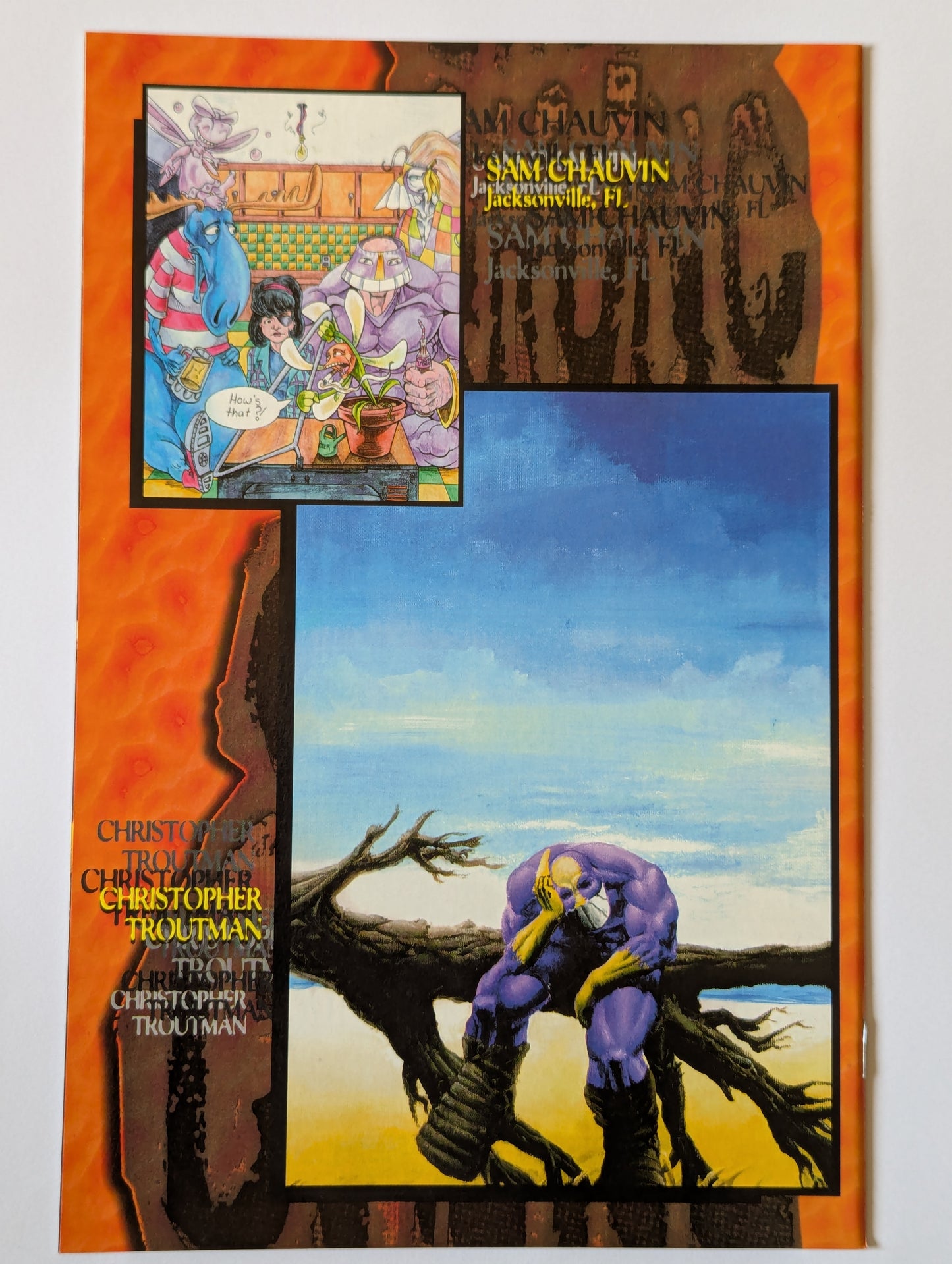 The Maxx #34