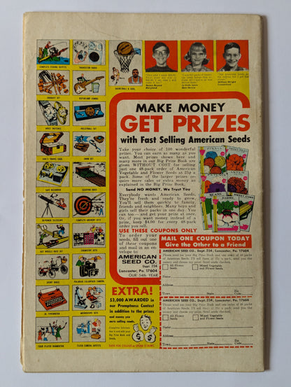 The Flash (1958 Series) #213