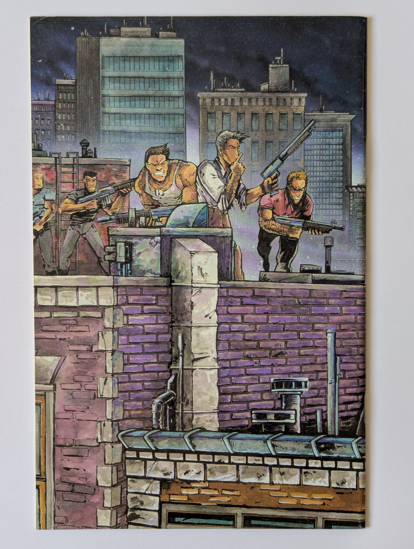 Raphael: Teenage Mutant Ninja Turtles #1 - Second Print