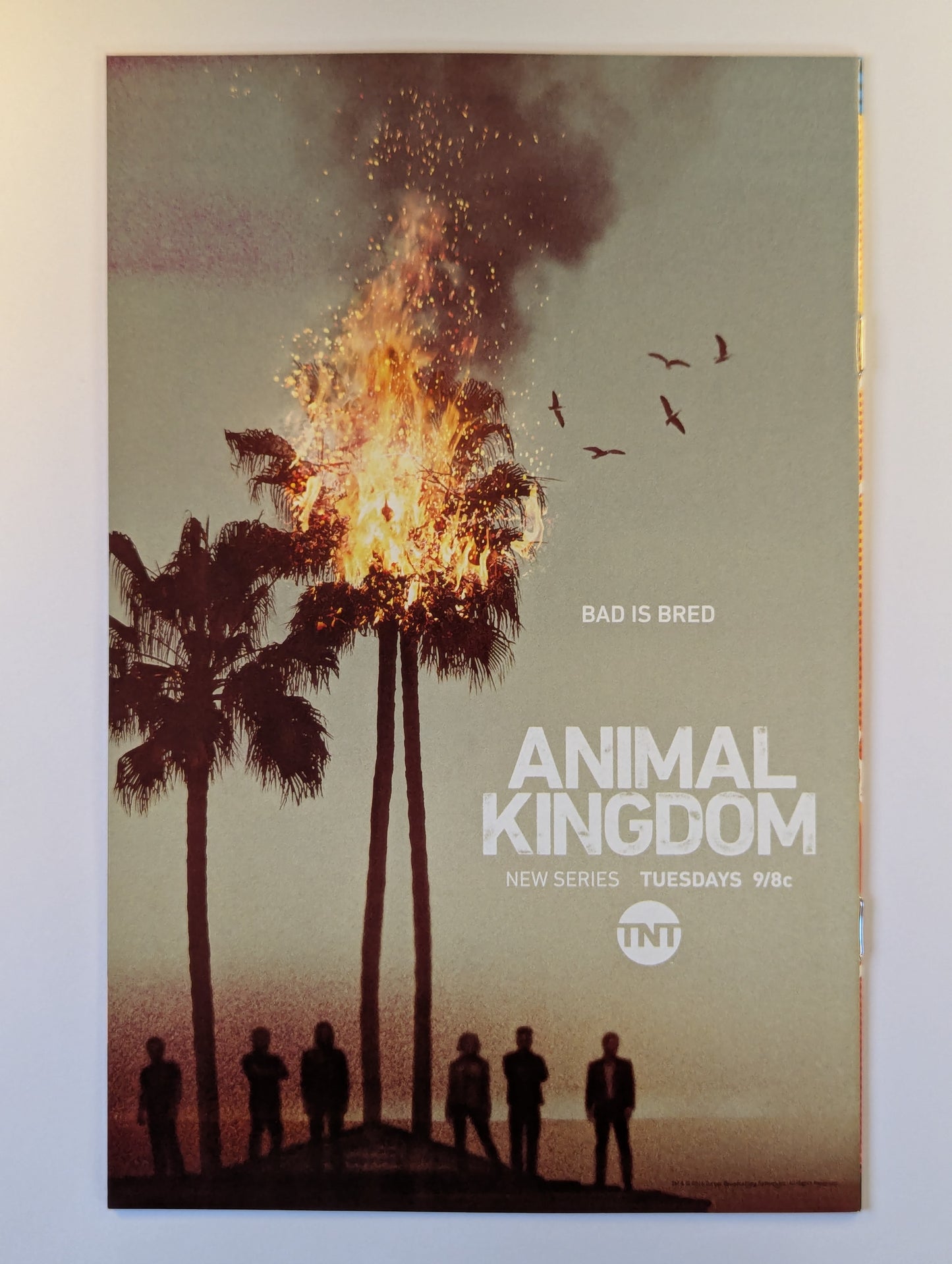 Flash #1 (2016 Series)