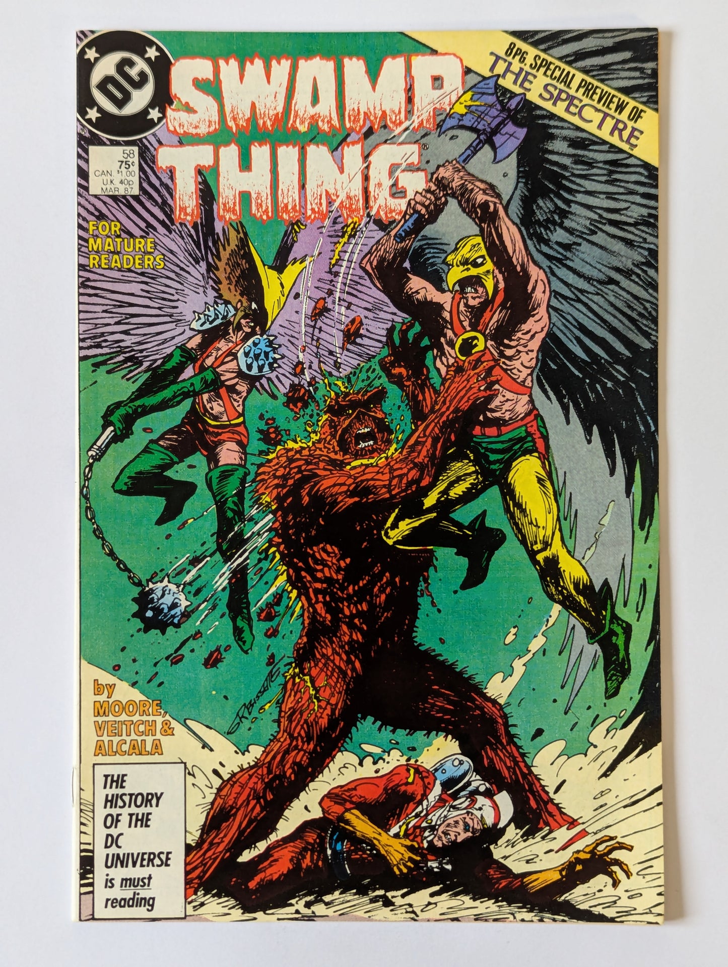 Saga of the Swamp Thing #58 DC Vertigo Comic Book