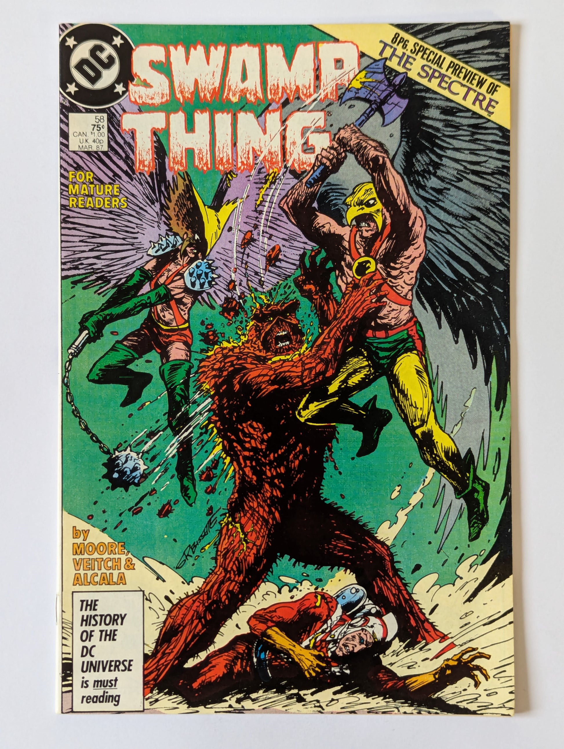 Saga of the Swamp Thing #58 DC Vertigo Comic Book