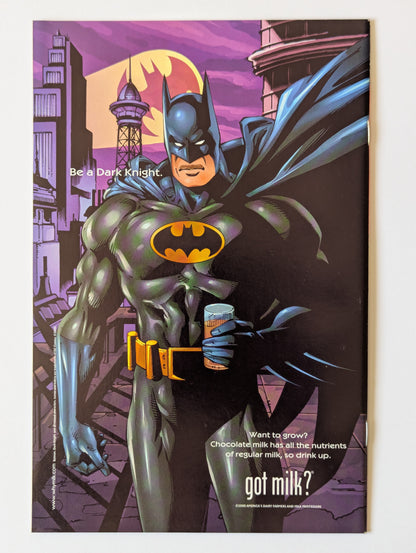 Batman Chronicles #21