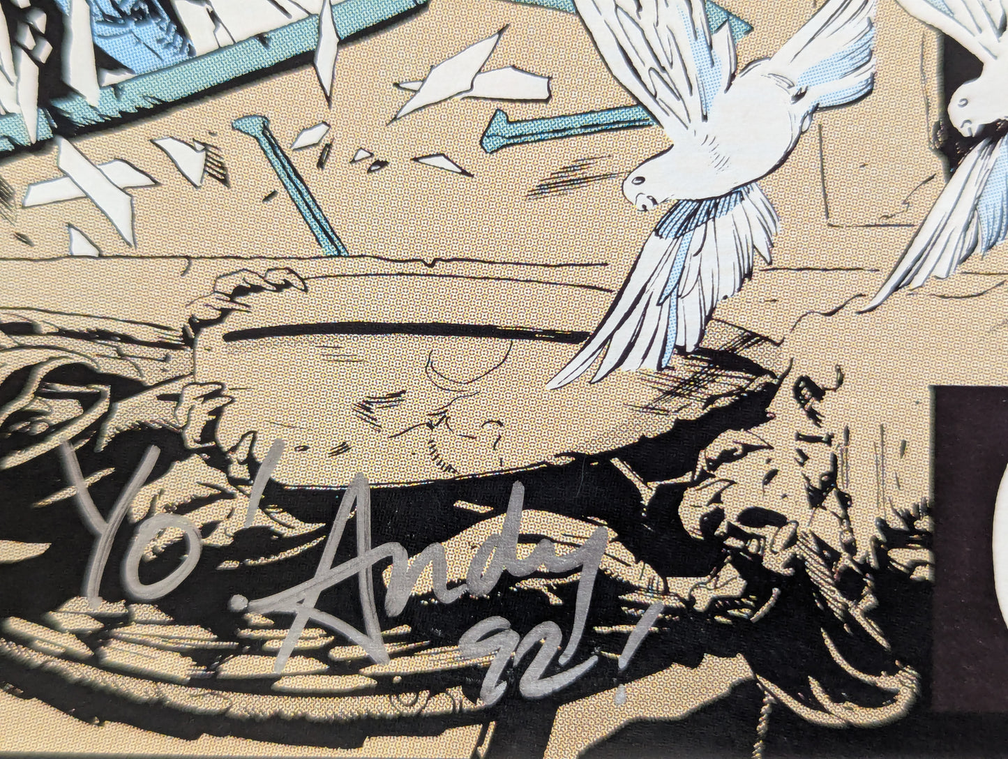 Punisher #67 (1987 Series) - Signed by Andy Lanning