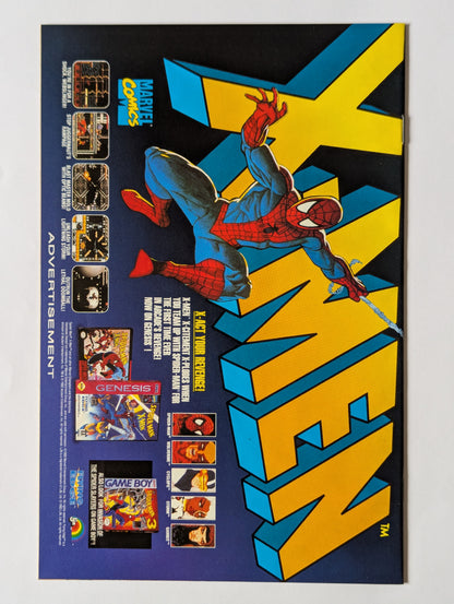 Punisher: War Zone #20 (1992 Series)