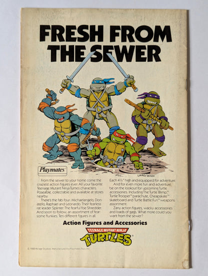 Teenage Mutants Ninja Turtles Adventures #1 (1989 Series)