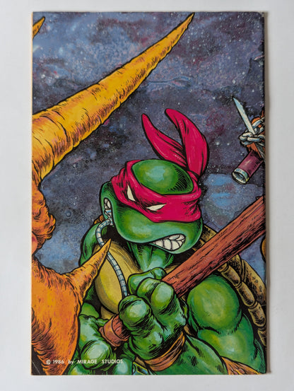 Teenage Mutants Ninja Turtles #6 (1984 Series)