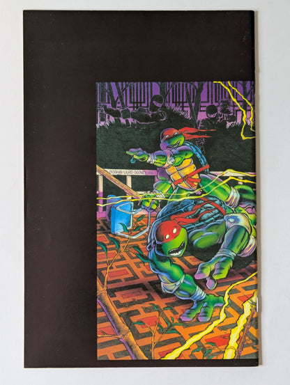 Teenage Mutants Ninja Turtles #9 (1984 Series)