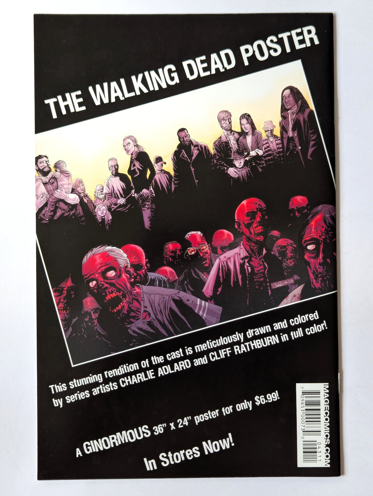 The Walking Dead #43 (2003 Series)