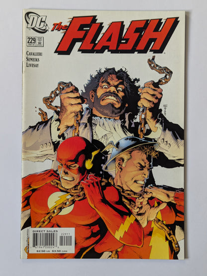The Flash #229 DC Comic Book