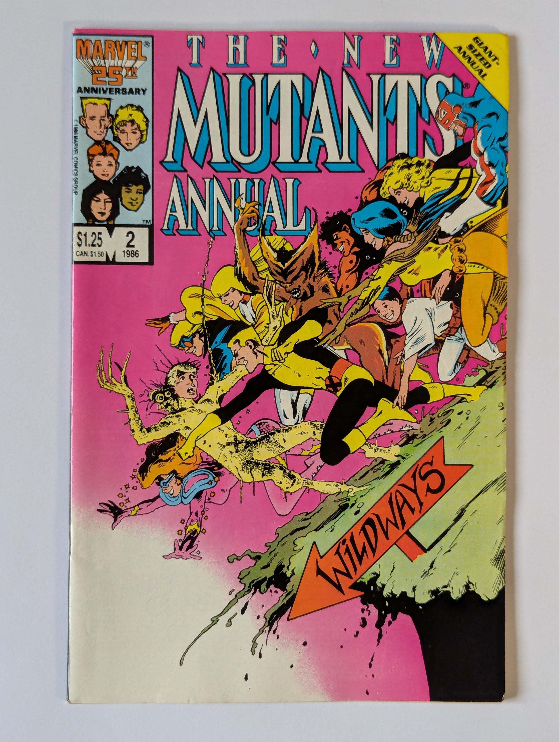 New Mutants Annual #2 Marvel Comic Book